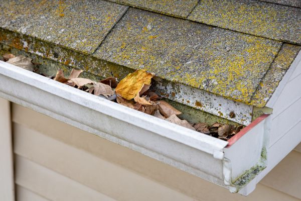 Garage Gutter Cleaning